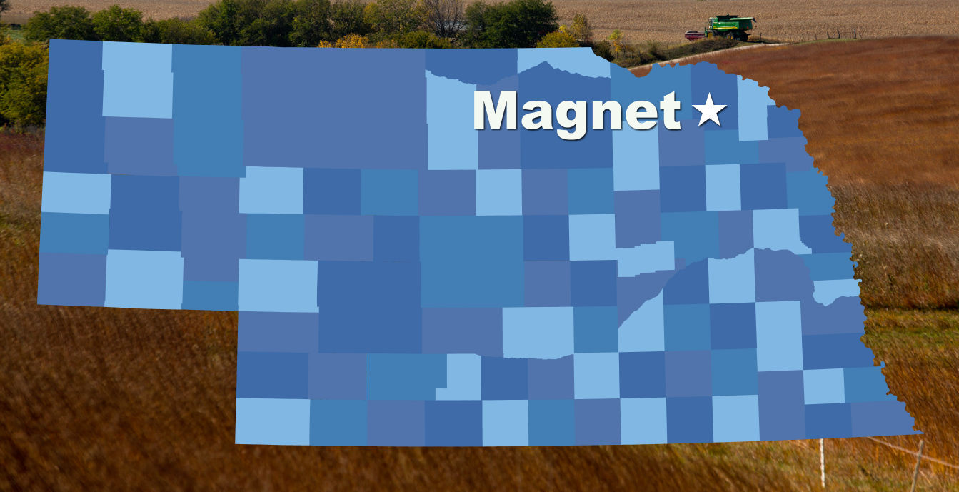 Magnet